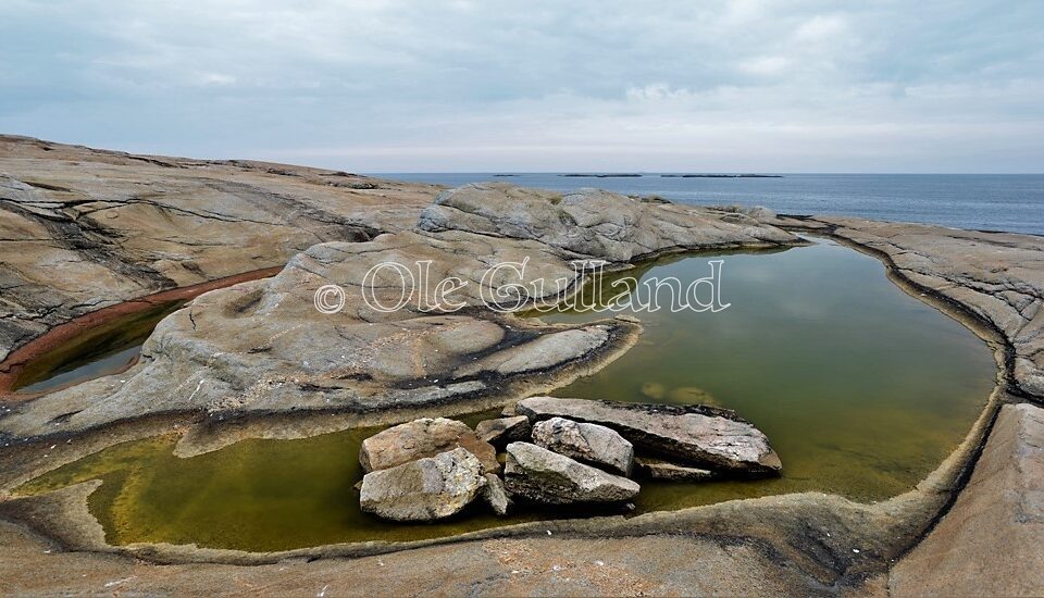 Kuvautangen ,Vesterøy