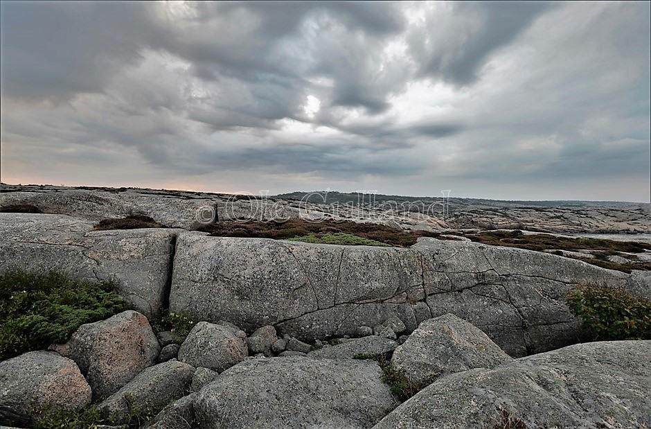 Vesterøy