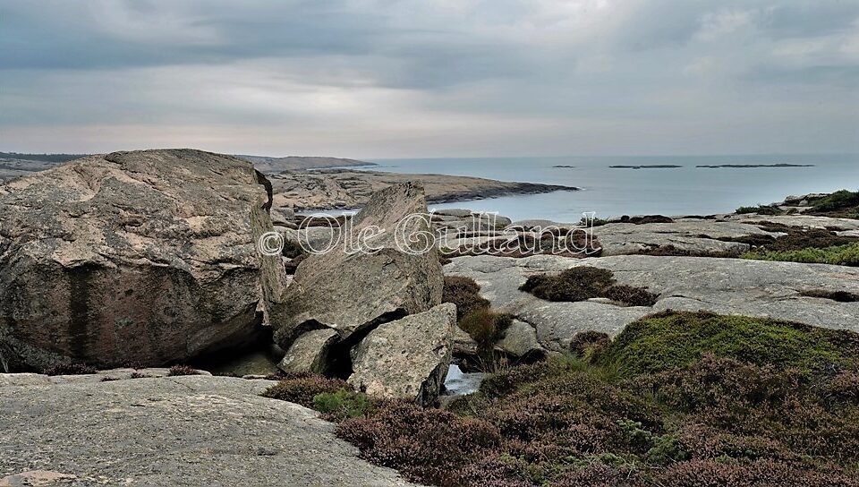 Vesterøy