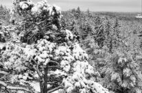 Ravneberget