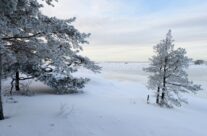 Vinter ved Bevø i Torsnes