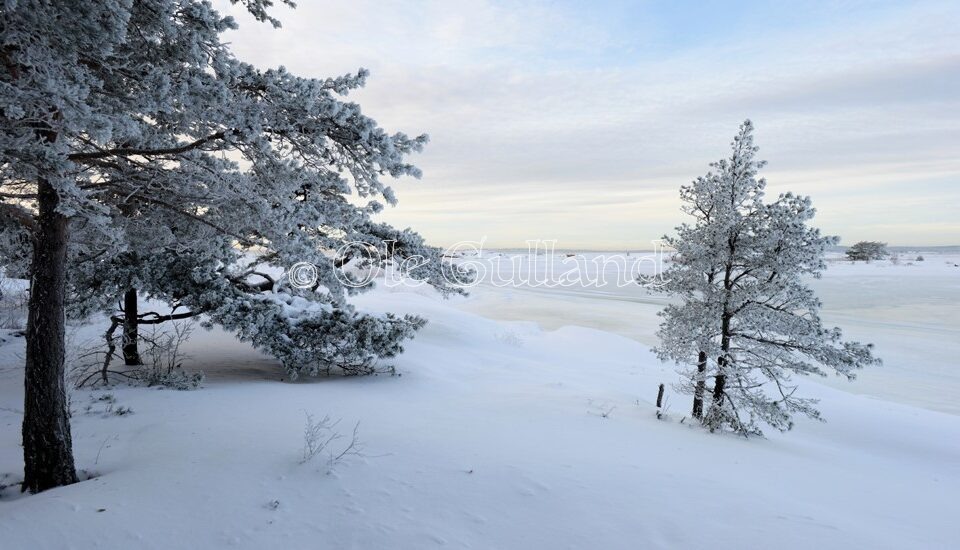 Vinter ved Bevø i Torsnes