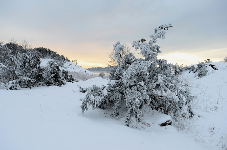 Vinter ved Husvik i Torsnes