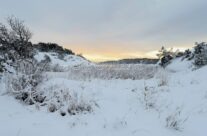 Vintermotiv fra Husvik i Torsnes. I bakgrunnen Ramsøsundet og Nes-Ramsø