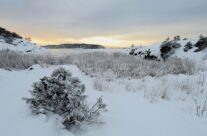 Vintermotiv fra Husvik i Torsnes. I bakgrunnen Ramsøsundet og Nes-Ramsø