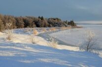 Vinterskog ved Neskilen i Torsnes «Pernes»