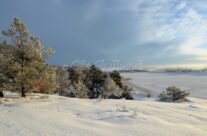 Vinterskog ved Neskilen i Torsnes «Pernes»